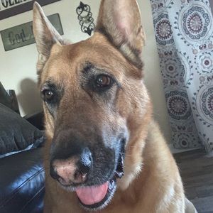 Meet your Posher, Tamra